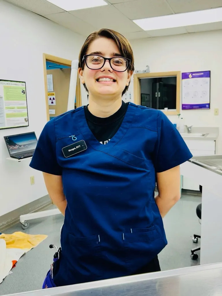 A veterinarian in blue scrubs, name badge visible, stands confidently in a veterinary clinic. They smile warmly, short hair framing their glasses. The backdrop includes a computer, educational posters, and essential medical equipment.