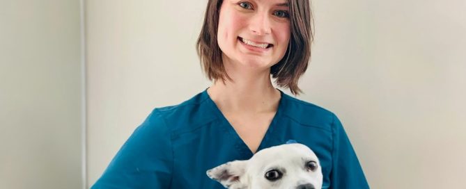 A veterinarian in a blue scrub top smiles while holding a small white dog with black spots. The background is a neutral, light color. The dog looks slightly to the side, capturing the gentle care of its vet.