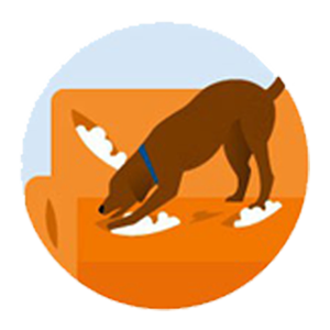 Illustration of a brown dog with a blue collar tearing up an orange couch, surrounded by scattered white stuffing—perhaps a call to the veterinarian is needed soon.