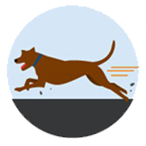 Illustration of a brown dog with a blue collar running energetically to the right, as if heading to its favorite veterinarian. Motion lines and small debris depict its lively sprint. The background is a gray circle with a lighter upper half.