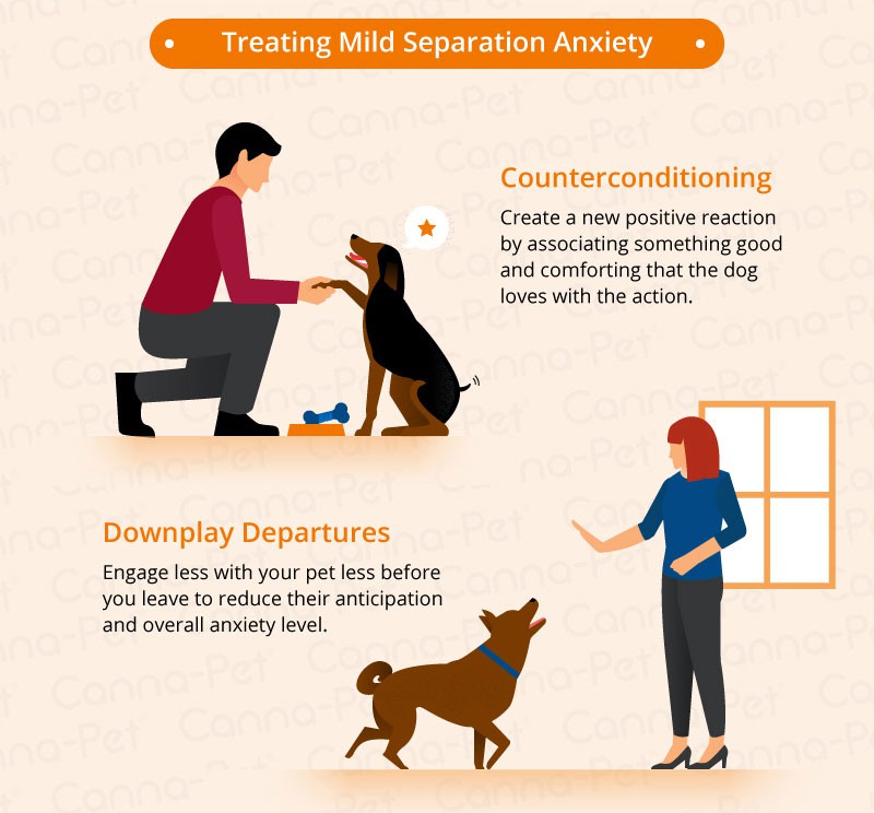 Illustration showing two veterinarian-approved methods for treating mild separation anxiety in dogs. Top: A person uses counterconditioning with a dog. Bottom: A vet suggests practicing downplay departures by not giving attention to the dog before leaving.