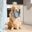A fluffy dog sits on a kitchen floor, holding an empty gray food bowl in its mouth. The dog's expression is eager and expectant. A person stands nearby, wearing blue jeans. The kitchen background features white cabinets and a green pot on the stove.