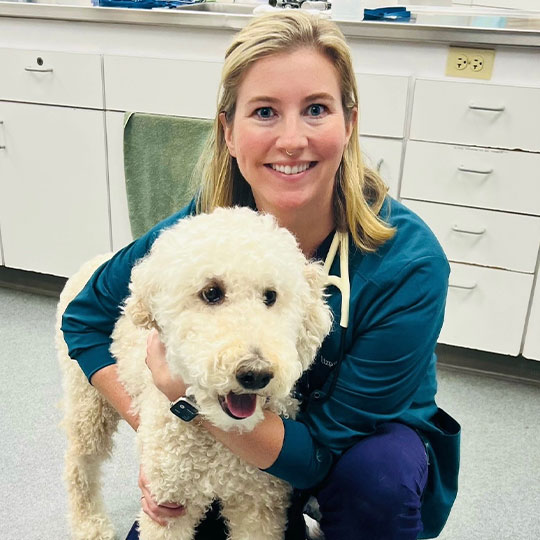 A smiling woman in scrubs hugs a fluffy white dog in a veterinary clinic, with white cabinets and a counter in the background.