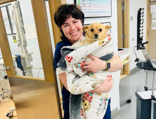 Sometimes the best medicine is a little love and a cozy blanket!