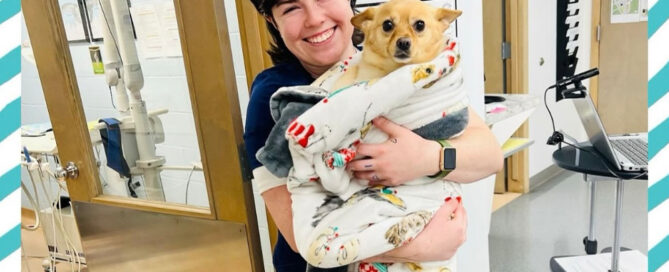 A smiling woman in scrubs holds a small tan dog wrapped in a fleece blanket inside a veterinary clinic, standing by a door with medical equipment visible in the background.