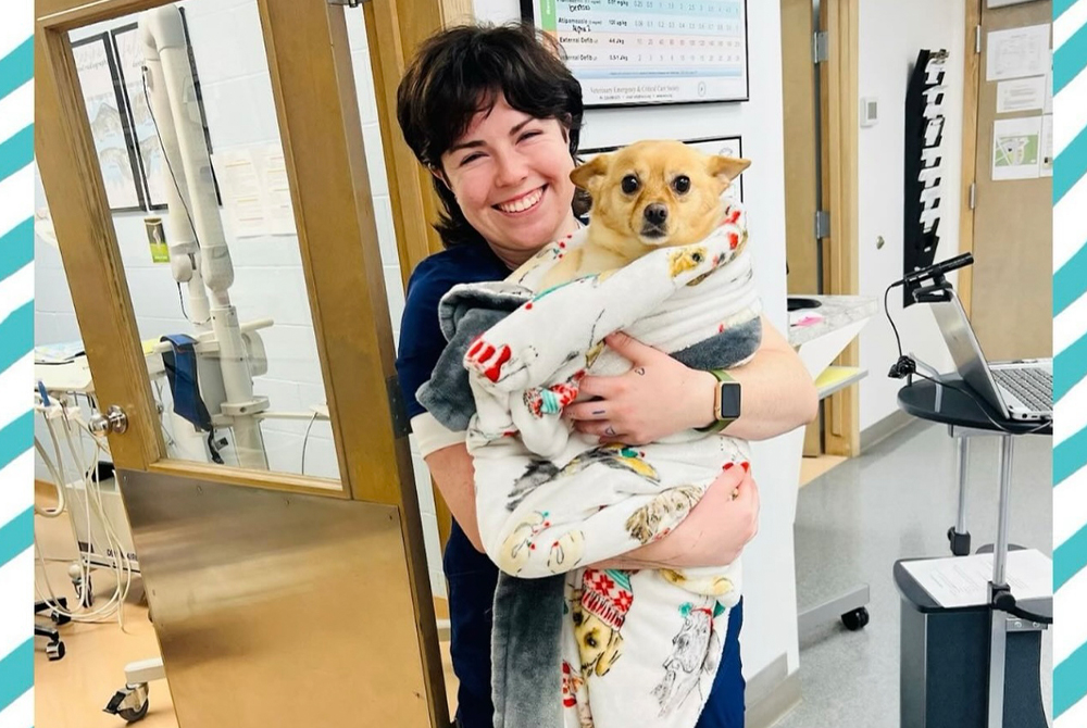 A smiling woman in scrubs holds a small tan dog wrapped in a fleece blanket inside a veterinary clinic, standing by a door with medical equipment visible in the background.