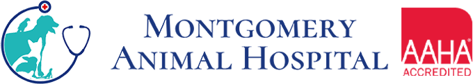 Logo for Montgomery Animal Hospital featuring a blue outline of a dog, cat, and bird with a stethoscope, the hospital name in blue text, and a red AAHA Accredited badge on the right.