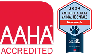AAHA Accredited logo alongside a 2026 America’s Best Animal Hospitals Newsweek badge, featuring a paw print and blue ribbon design.