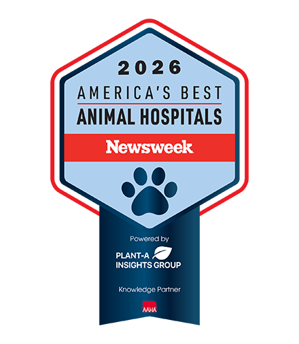 A badge-shaped graphic reads: "2026 America’s Best Animal Hospitals, Newsweek, Powered by Plant-A Insights Group, Knowledge Partner AAHA" with a paw print at the center.