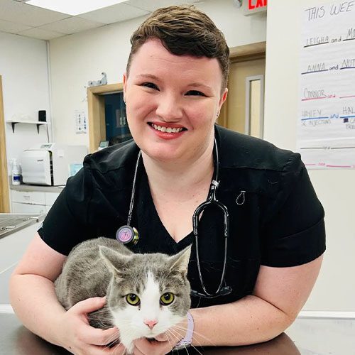 smiling female veterinary technician holding gray and white cat